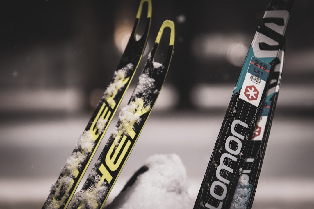 Photo cross-country skiing